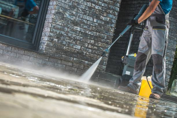 Best Driveway Pressure Washing  in Louise, TX